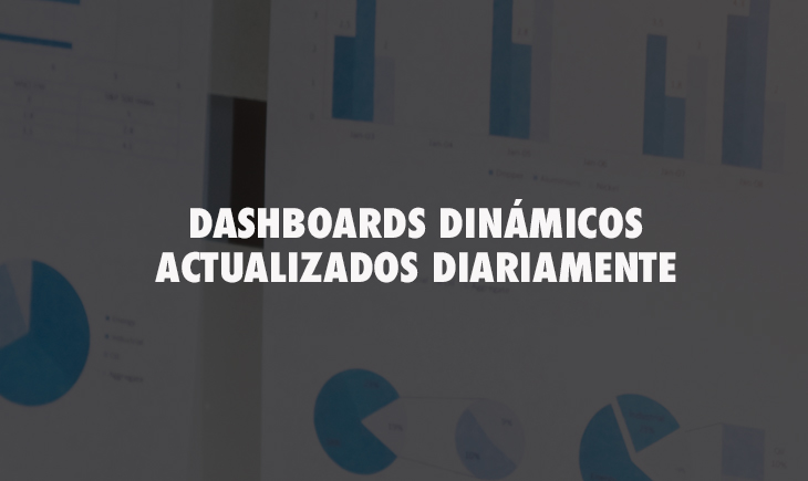 Dashboards Dinámicos Actualizados Diariamente – Matika